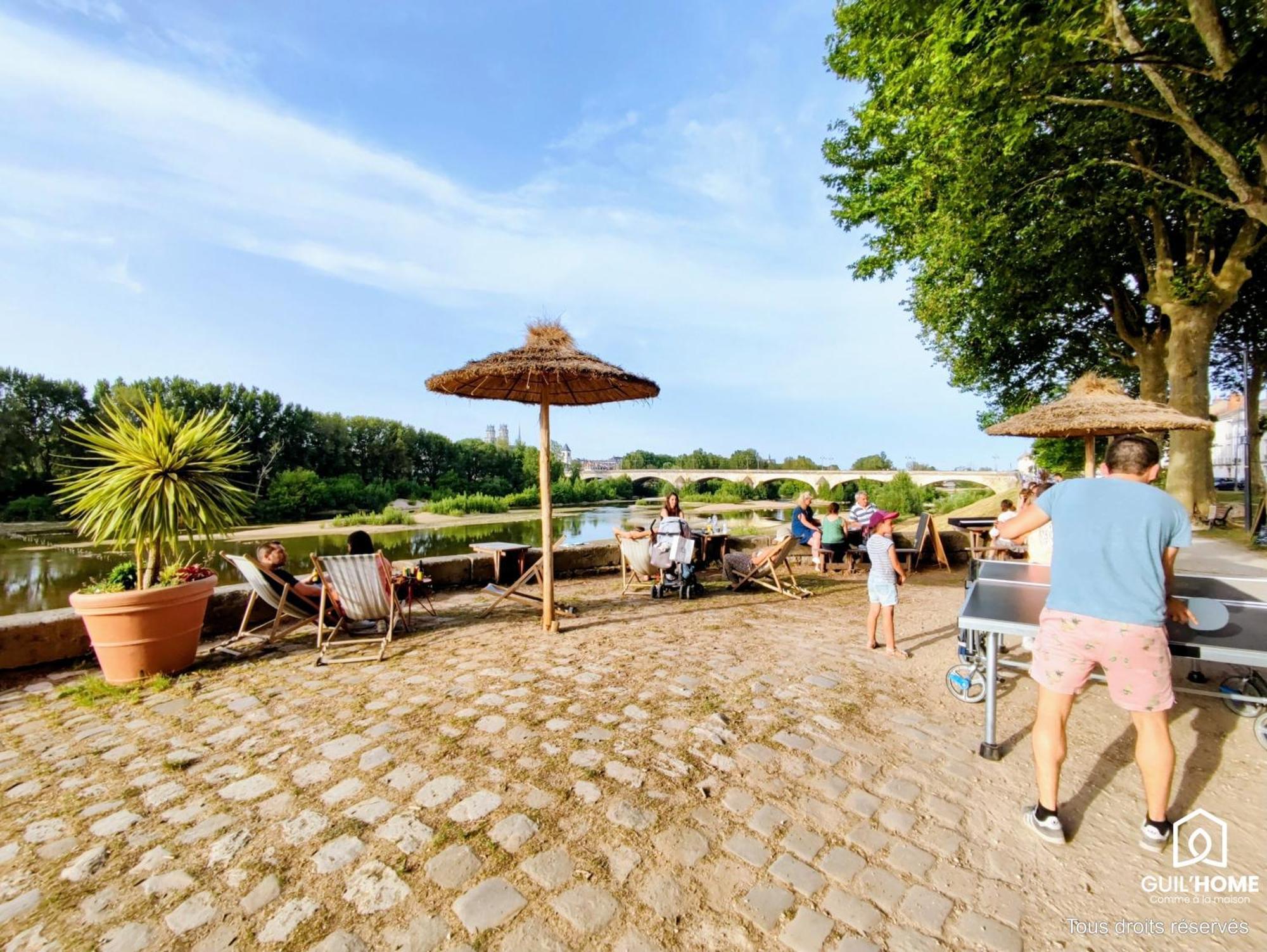 Terrasse Vegetalisee - Climatisation - Local Velo - Parking Gratuit Dans La Rue 奥尔良 外观 照片